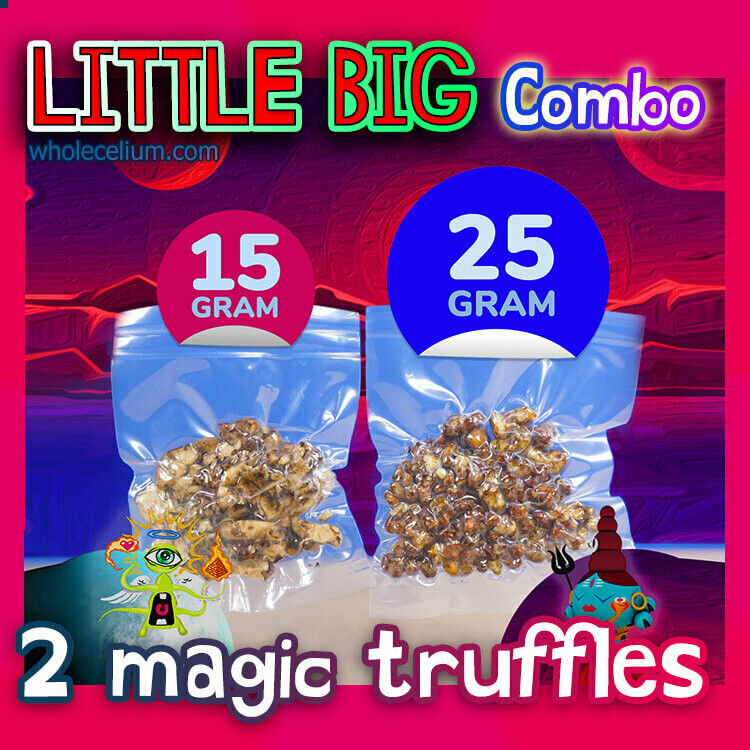 LITTLE BIG - COMBO-Pack (2x) LITTLE BIG - COMBO-Pack (2x)