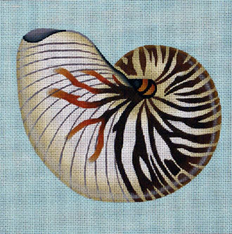 Nautilus (handpainted by Melissa Shirley) Nautilus (handpainted by Melissa Shirley)