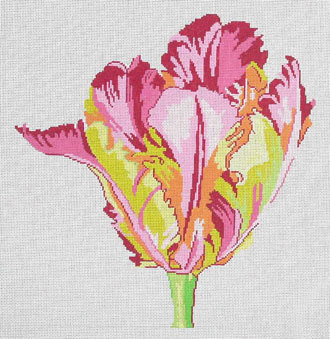 Regal Parrot Tulip (handpainted by Jean Smith) Regal Parrot Tulip (handpainted by Jean Smith)