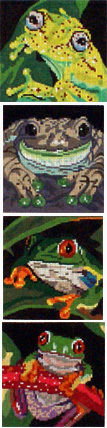 Frog Coasters, Set of 4 (Handpainted by Barbara Russell Designs) Frog Coasters, Set of 4 (Handpainted by Barbara Russell Designs)