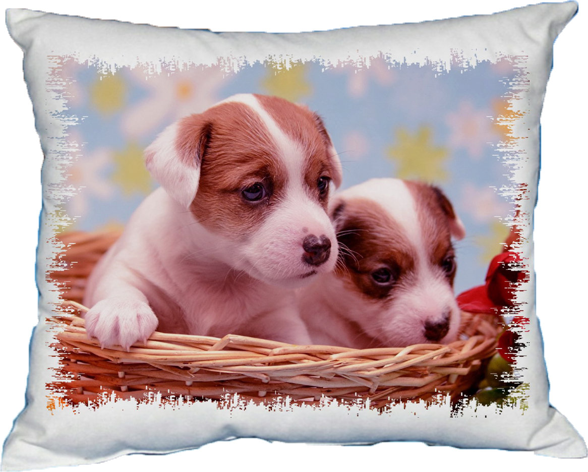 Polštářek Jack Russel Polštářek Jack Russel