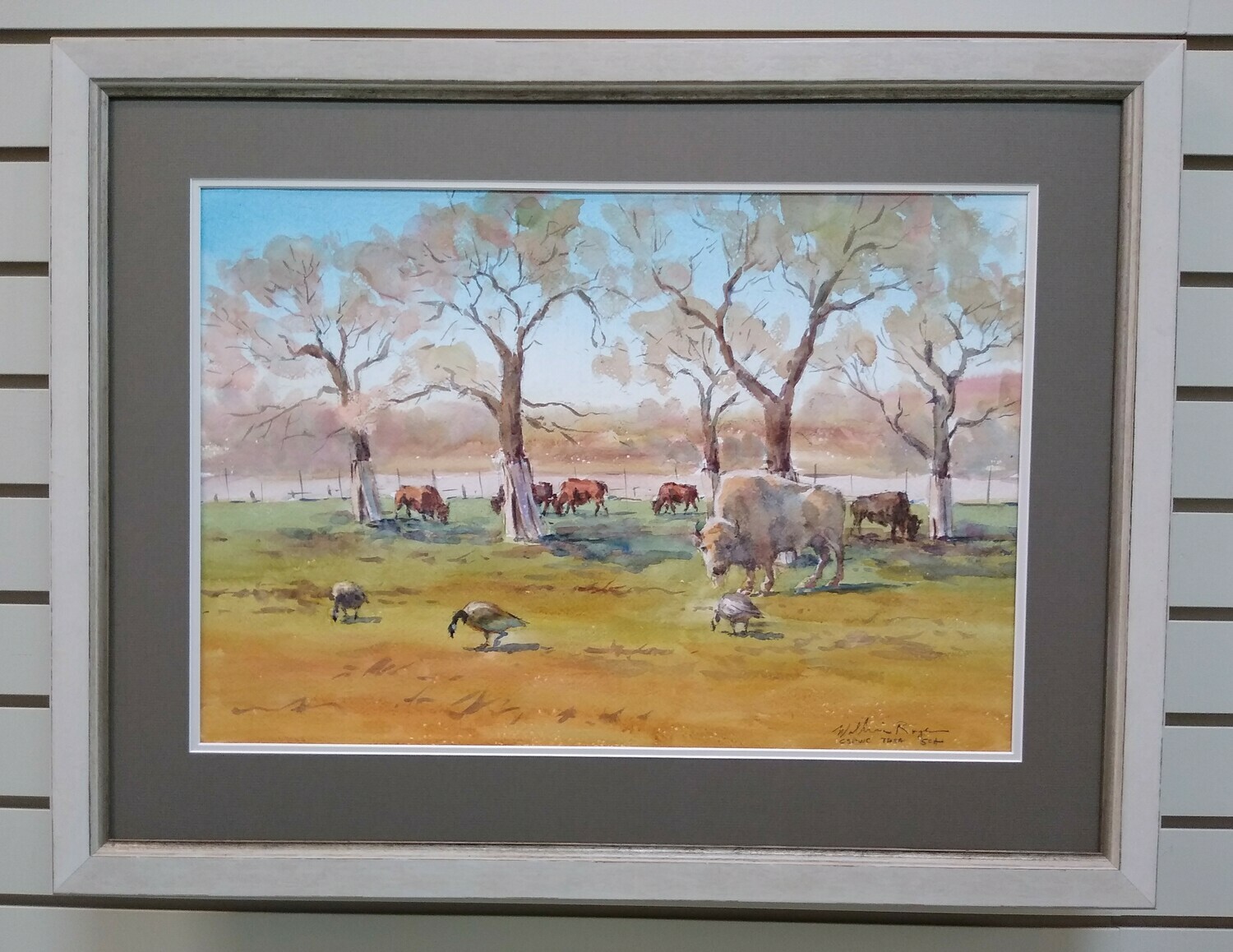 Bison Herd Bison Herd