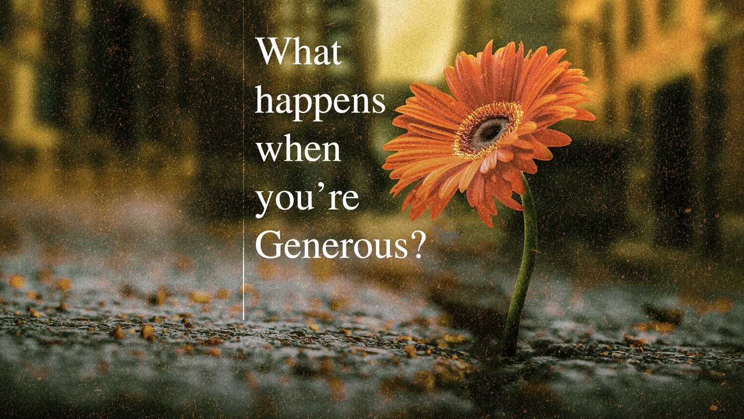 What Happens When You're Generous Book What Happens When You're Generous Book