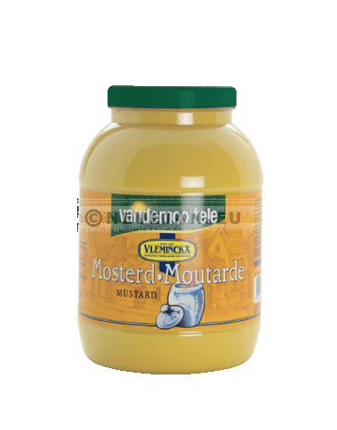 Mosterd vl 3 L Mosterd vl 3 L