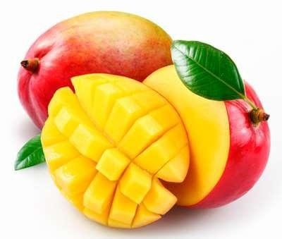 Mango puree 1 kg Mango puree 1 kg