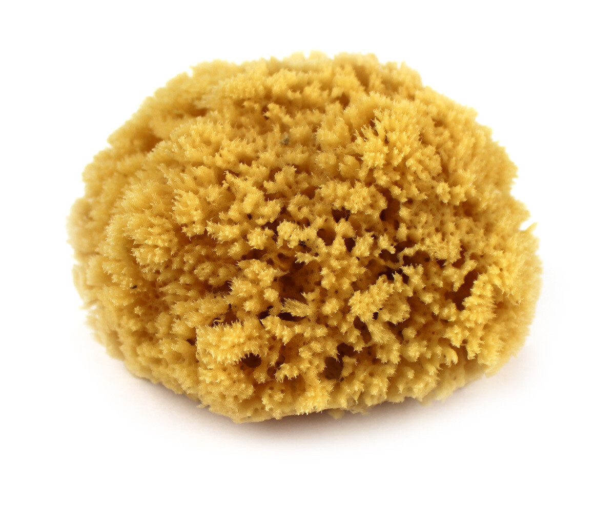 Yellow Form Sponge Yellow Form Sponge