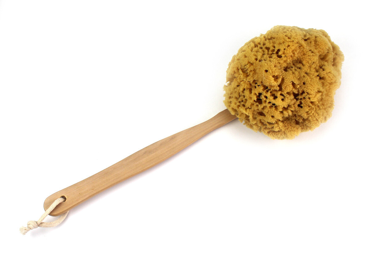 Yellow Sponge on a Stick Yellow Sponge on a Stick
