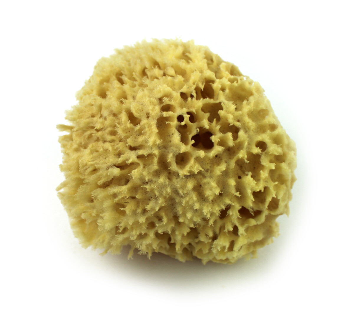 Wool Bathing Sponge Wool Bathing Sponge