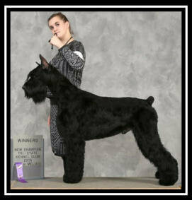 Deposit List For FUTURE UPCOMING Giant Litters, Deposit List For FUTURE UPCOMING Giant Litters,
