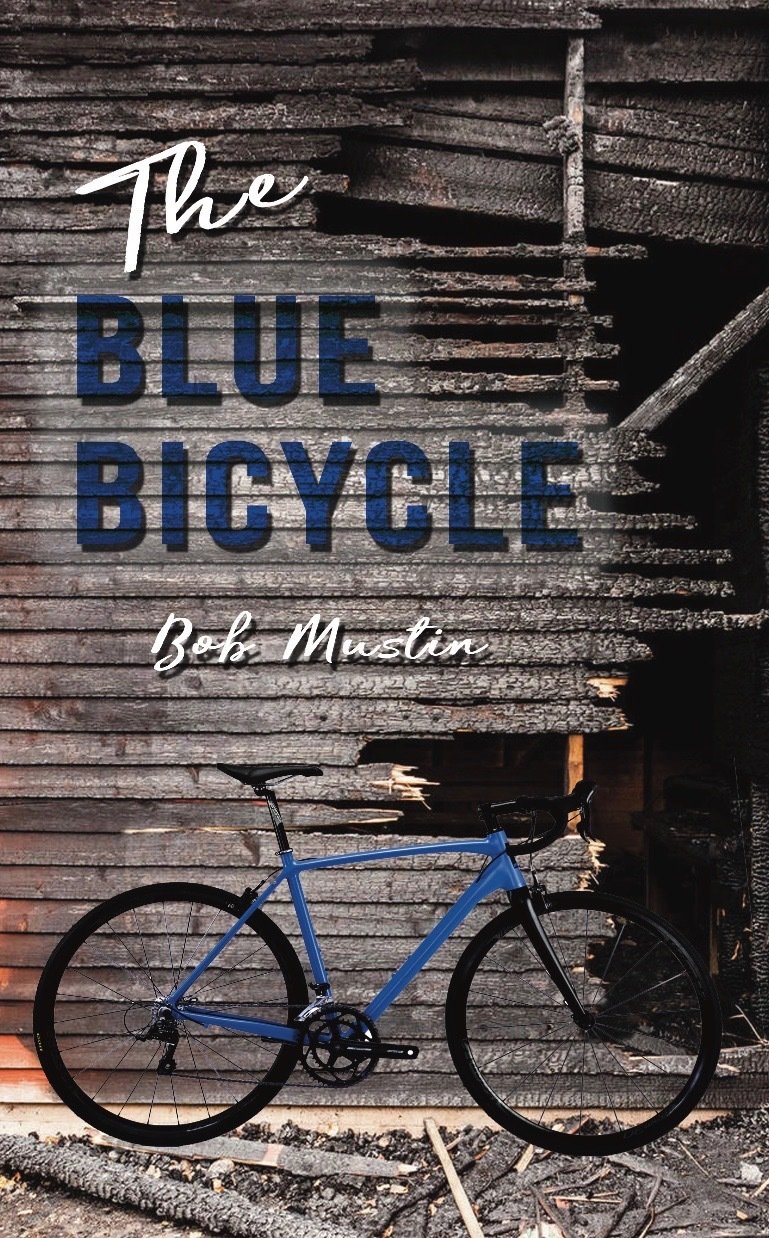 the blue bicycle book