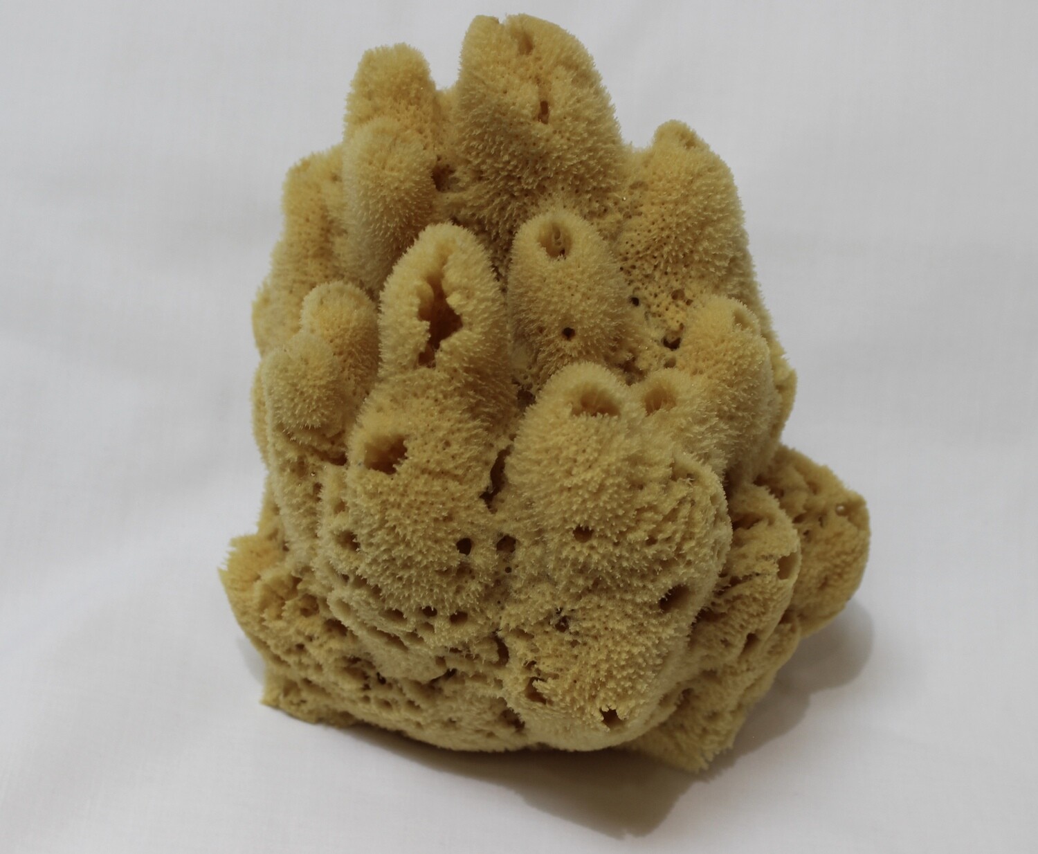 Decorative Yellow Sponge Decorative Yellow Sponge