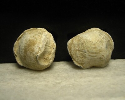 JUST ADDED ON 4/29 - THE BATTLE OF MALVERN HILL / SEVEN DAYS BATTLES - Two Fired Musket Balls (One might be a Case Shot) including One with Ram Rod Mark JUST ADDED ON 4/29 - THE BATTLE OF MALVERN HILL / SEVEN DAYS BATTLES - Two Fired Musket Balls (One might be a Case Shot) including One with Ram Rod Mark