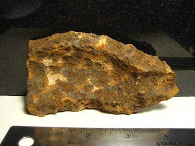 JUST ADDED ON 5/8 - GETTYSBURG - SEMINARY RIDGE NEAR THE VIRGINIA MEMORIAL - ROSENSTEEL FAMILY - Large Fragment from the Nose of an Artillery Shell JUST ADDED ON 5/8 - GETTYSBURG - SEMINARY RIDGE NEAR THE VIRGINIA MEMORIAL - ROSENSTEEL FAMILY - Large Fragment from the Nose of an Artillery Shell
