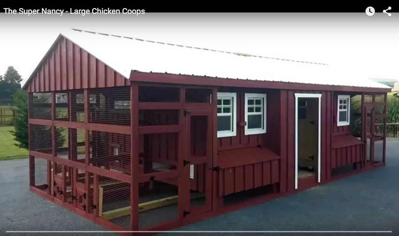 Super Nancy - 12x26 | Super Coops | Store | Large Chicken Coops