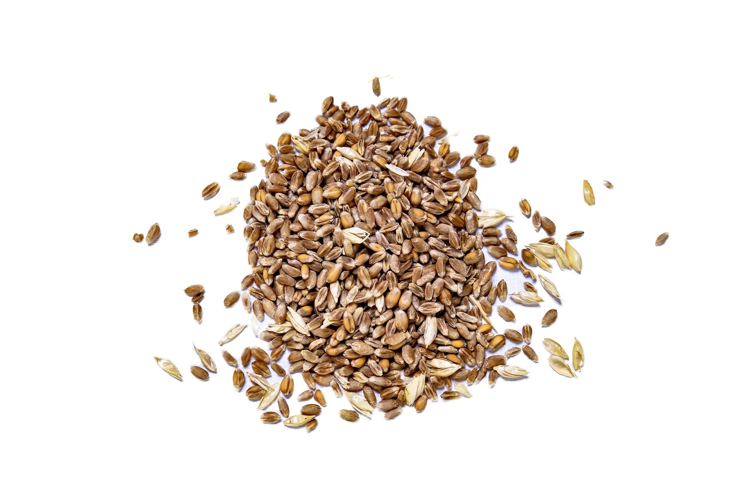 Whole Wheat Whole Wheat