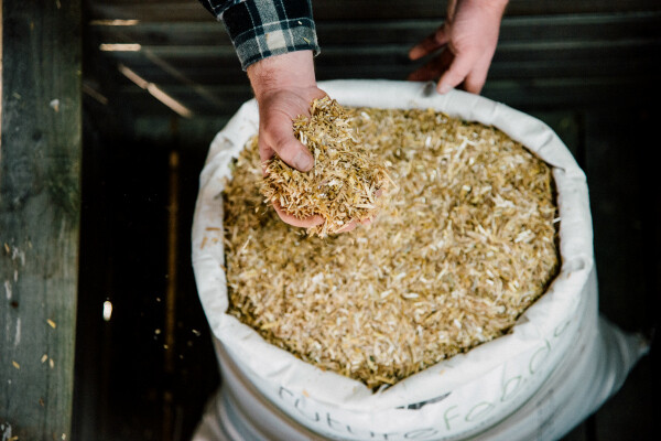 Oaten Chaff Oaten Chaff