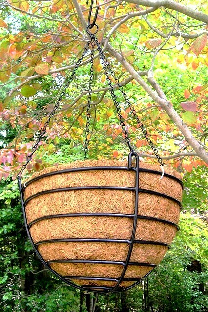 Wrought Iron Hanging Baskets w/Coco Liner