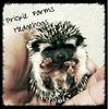 Prickle Farms's