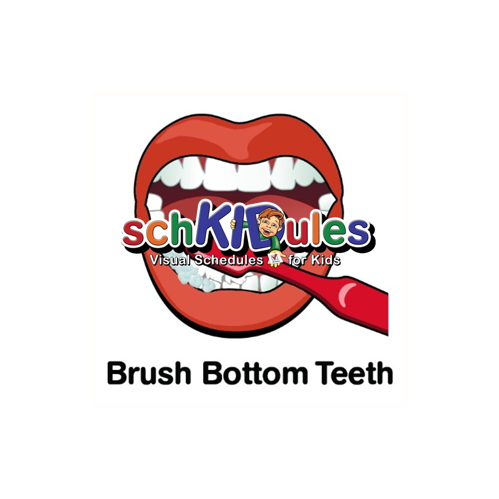Brush Bottom Teeth Brush Bottom Teeth