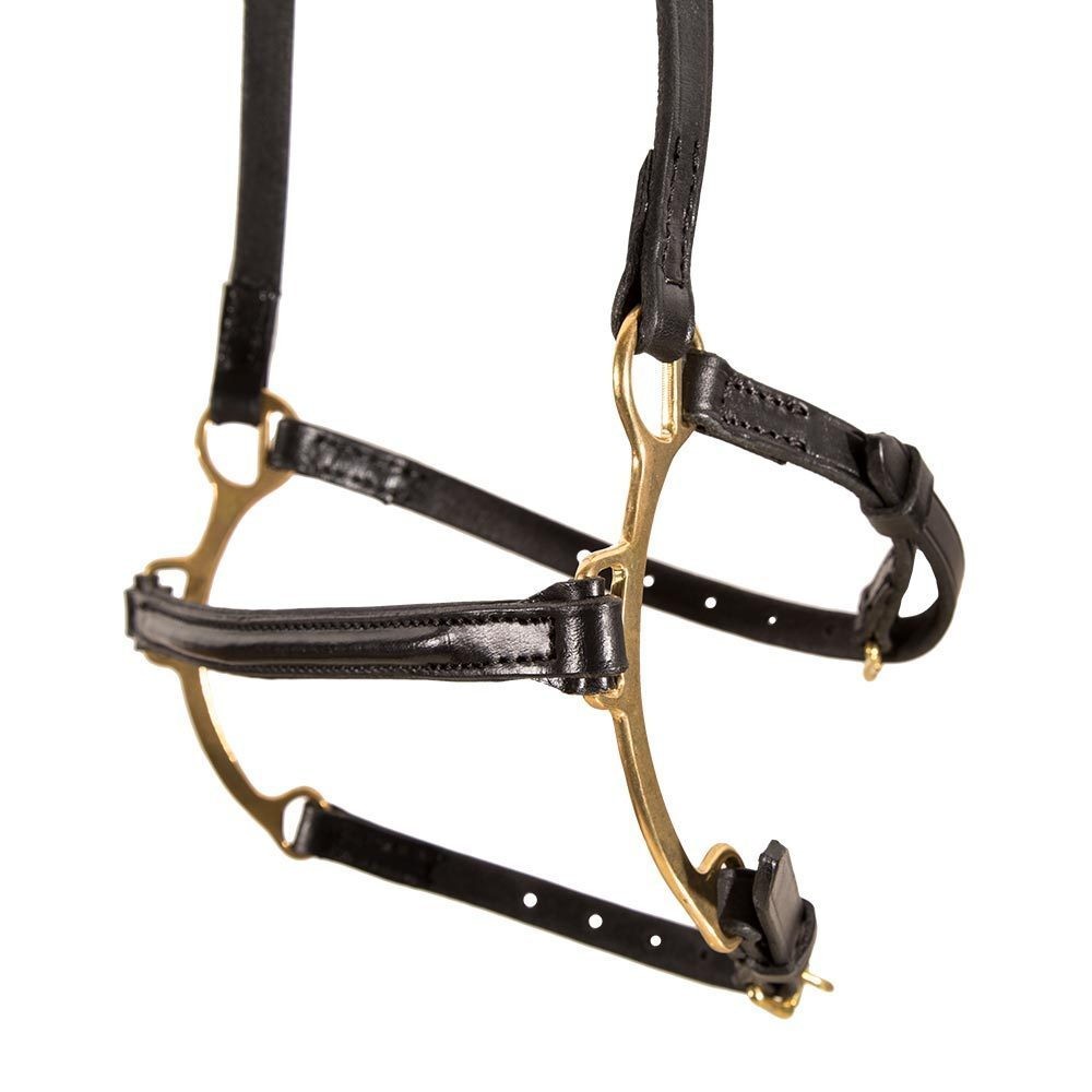 Top Reiter Combination Lever Noseband