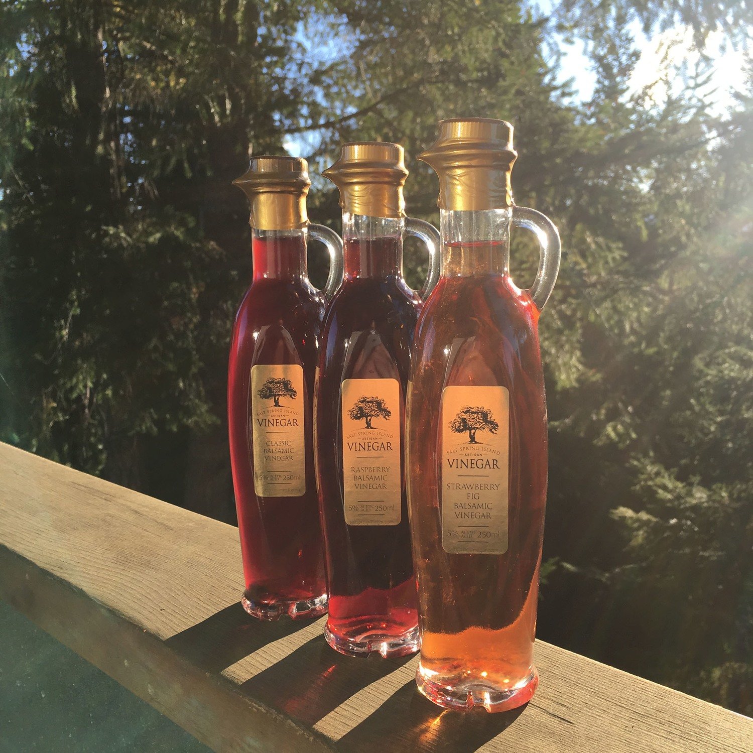Fruit Balsamic Vinegars 250ml Fruit Balsamic Vinegars 250ml