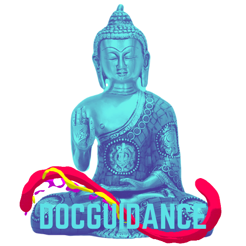 Docguidance.com